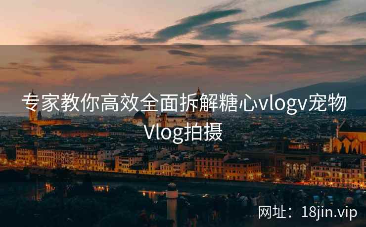 专家教你高效全面拆解糖心vlogv宠物Vlog拍摄  第1张