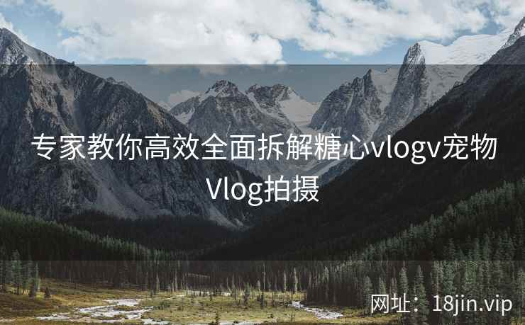 专家教你高效全面拆解糖心vlogv宠物Vlog拍摄  第2张