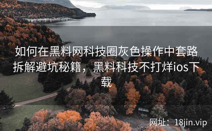 如何在黑料网科技圈灰色操作中套路拆解避坑秘籍，黑料科技不打烊ios下载