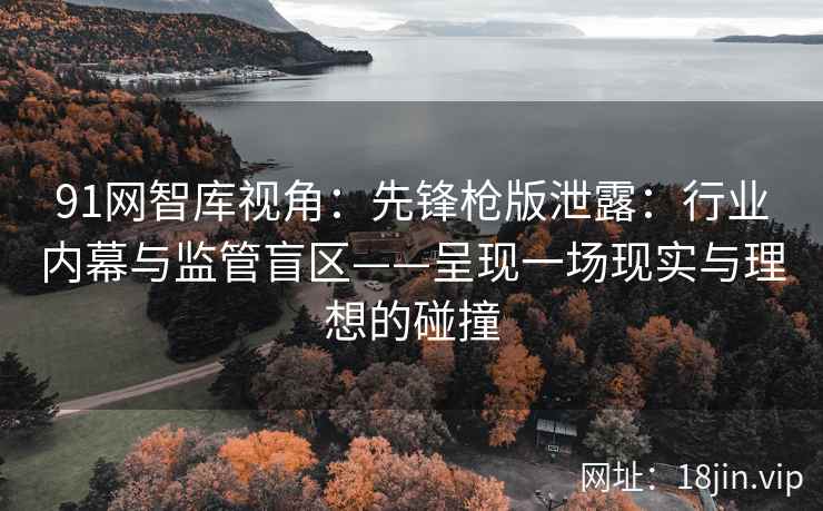 91网智库视角：先锋枪版泄露：行业内幕与监管盲区——呈现一场现实与理想的碰撞