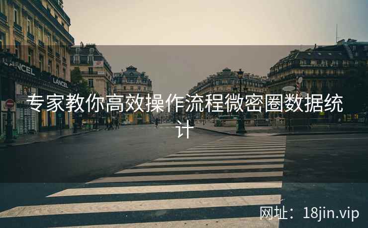 专家教你高效操作流程微密圈数据统计
