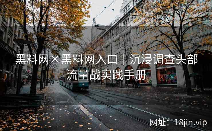 黑料网×黑料网入口｜沉浸调查头部流量战实践手册