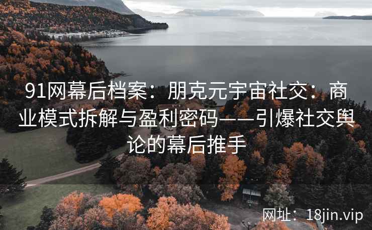 91网幕后档案：朋克元宇宙社交：商业模式拆解与盈利密码——引爆社交舆论的幕后推手
