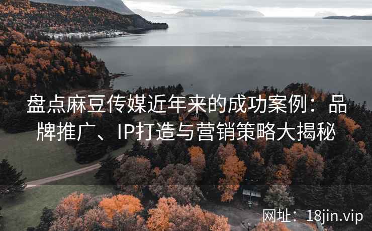 盘点麻豆传媒近年来的成功案例：品牌推广、IP打造与营销策略大揭秘